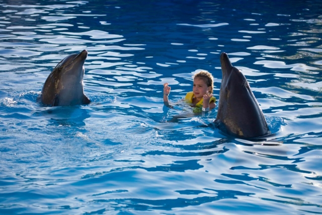 bailando con delfines